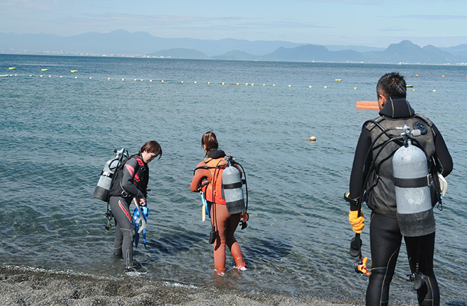 ビーチエントリー