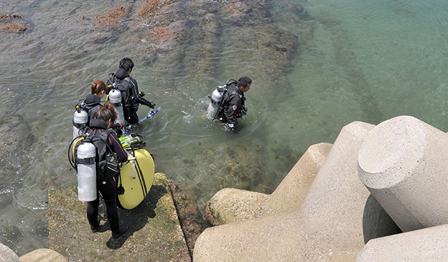 ジャイアントストライド