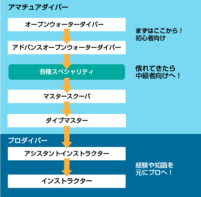 ライセンス取得のステップ