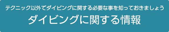 ダイビングに関する情報